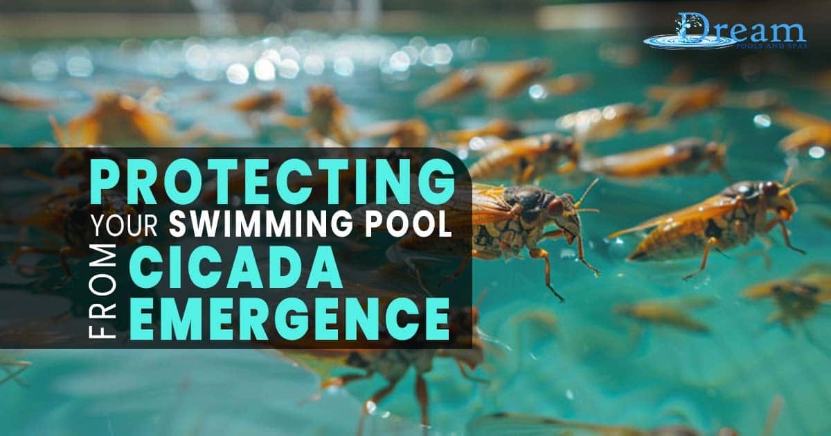 Swimming Pool From Cicada Emergence